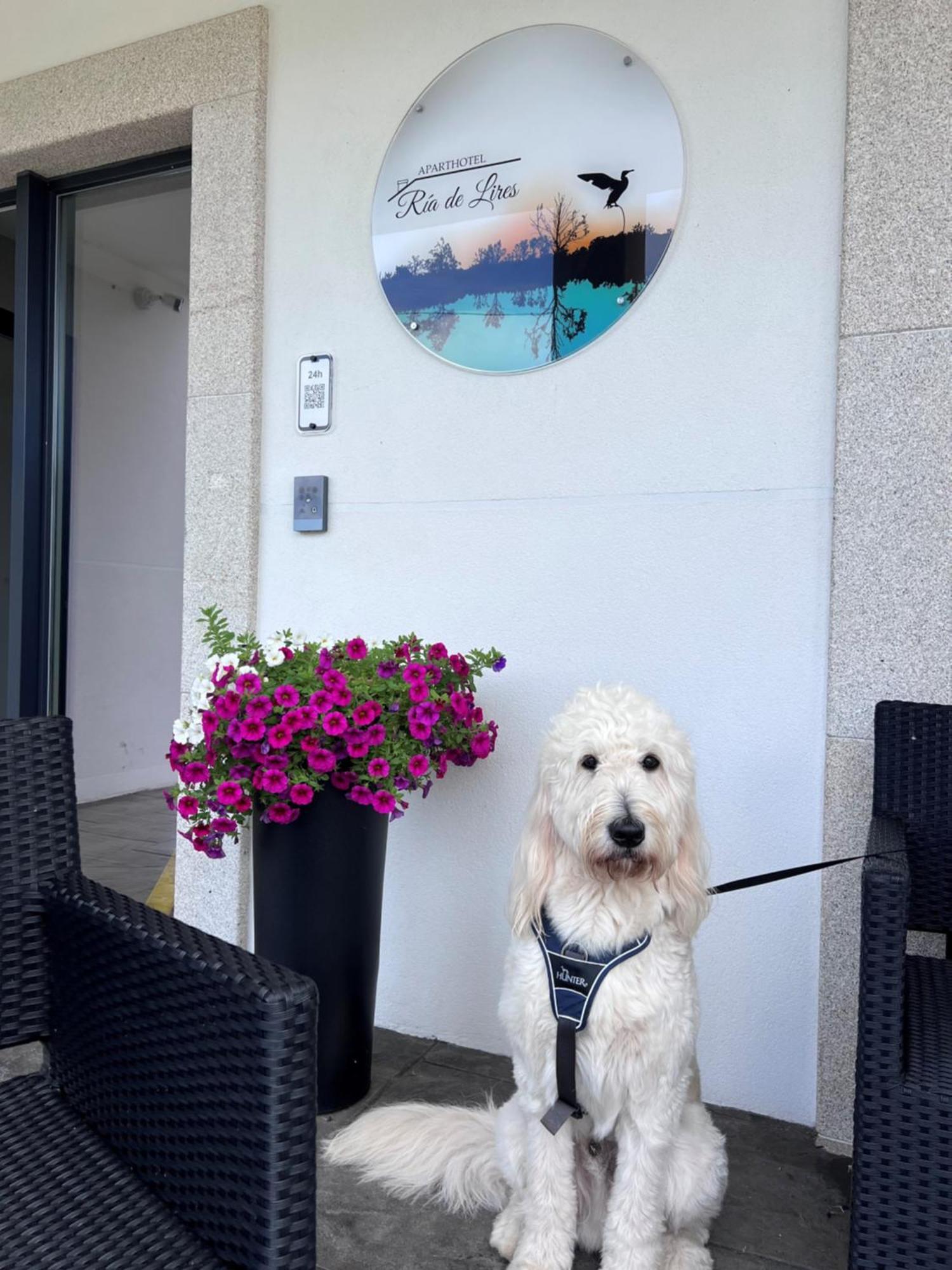 Ria De Appart hôtel *